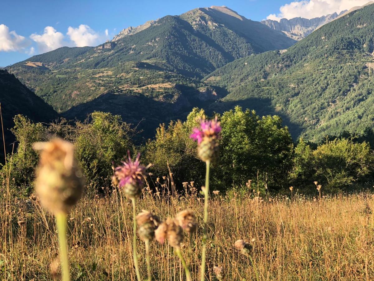 Pirineosnature Apartments 圣胡安德普兰 外观 照片